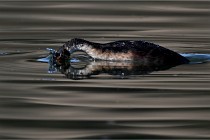 Z9 Valliere 22-03-23 058  Photo A CG