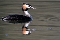 Z9 Valliere 22-03-23 061  Photo A CG