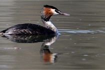 Z9 Valliere 22-03-23 081  Photo A CG