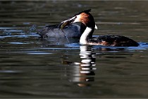 Z9 Valliere 22-03-23 094  Photo A CG