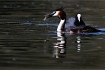 Z9 Valliere 22-03-23 095  Photo A CG