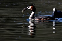 Z9 Valliere 22-03-23 096  Photo A CG