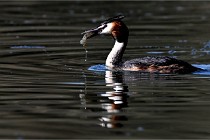 Z9 Valliere 22-03-23 097  Photo A CG