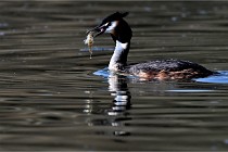 Z9 Valliere 22-03-23 098  Photo A CG