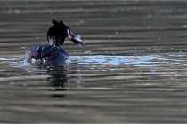 Z9 Valliere 22-03-23 102  Photo A CG