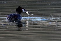 Z9 Valliere 22-03-23 103  Photo A CG