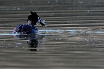 Z9 Valliere 22-03-23 104  Photo A CG