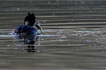 Z9 Valliere 22-03-23 105  Photo A CG