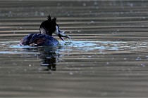 Z9 Valliere 22-03-23 106  Photo A CG