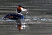 Z9 Valliere 22-03-23 109  Photo A CG