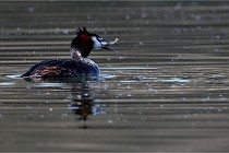 Z9 Valliere 22-03-23 110  Photo A CG