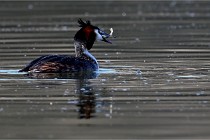 Z9 Valliere 22-03-23 111  Photo A CG