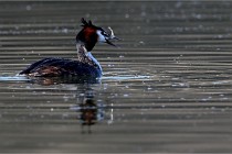 Z9 Valliere 22-03-23 112  Photo A CG