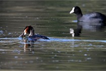 Z9 Valliere 22-03-23 131  Photo A CG