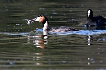 Z9 Valliere 22-03-23 137  Photo A CG