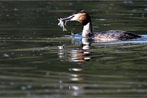 Z9 Valliere 22-03-23 138  Photo A CG