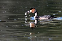 Z9 Valliere 22-03-23 139  Photo A CG