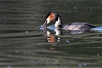 Z9 Valliere 22-03-23 140  Photo A CG