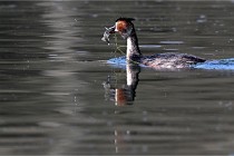 Z9 Valliere 22-03-23 142  Photo A CG