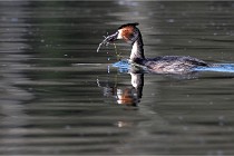 2022-03-23 LaVallière