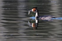 Z9 Valliere 22-03-23 144  Photo A CG