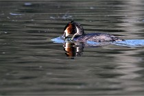 Z9 Valliere 22-03-23 145  Photo A CG