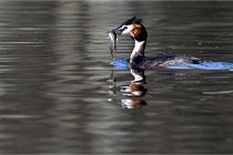 Z9 Valliere 22-03-23 147  Photo A CG