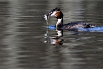 Z9 Valliere 22-03-23 148  Photo A CG