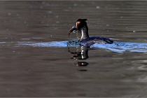 Z9 Valliere 22-03-23 152  Photo A CG