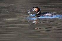 Z9 Valliere 22-03-23 154  Photo A CG