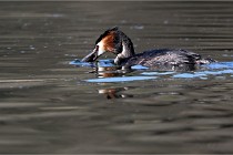 Z9 Valliere 22-03-23 155  Photo A CG