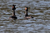 Z9 Valliere 22-03-23 207  Photo A CG