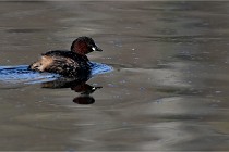 Z9 La Villetertre 22-03-24 00107  Photo A CG