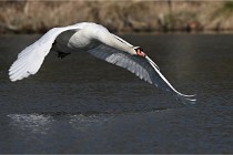 2022-03-24 La Villetertre