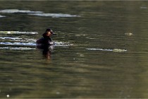 Z9 Grand Lavier 22-04-14 011  Photo A CG