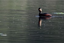 Z9 Grand Lavier 22-04-14 043  Photo A CG