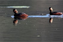 Z9 Grand Lavier 22-04-14 056  Photo A CG