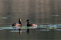 Z9 Grand Lavier 22-04-14 081  Photo A CG