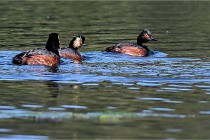 Z9 Grand Lavier 22-04-14 107  Photo A CG