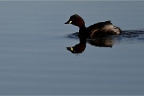 Z9 Grand Lavier 22-04-14 149  Photo A CG