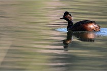 Z9 Grand Lavier 22-04-14 163  Photo A CG