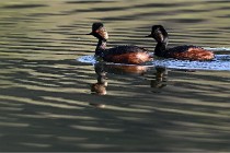 Z9 Grand Lavier 22-04-14 177  Photo A CG