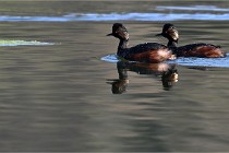 Z9 Grand Lavier 22-04-14 187  Photo A CG