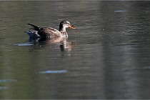 Z9 Grand Lavier 22-04-14 196  Photo A CG