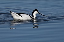 Z9 Grand Lavier 22-04-14 218  Photo A CG