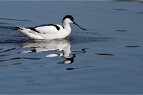 Z9 Grand Lavier 22-04-14 255  Photo A CG