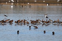 Z9 Grand Lavier 22-04-14 282  Photo A CG