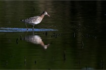 Z9 Grand Lavier 22-04-14 391  Photo A CG