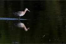 Z9 Grand Lavier 22-04-14 394  Photo A CG