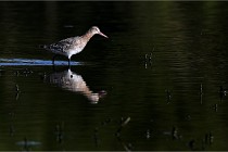 Z9 Grand Lavier 22-04-14 398  Photo A CG